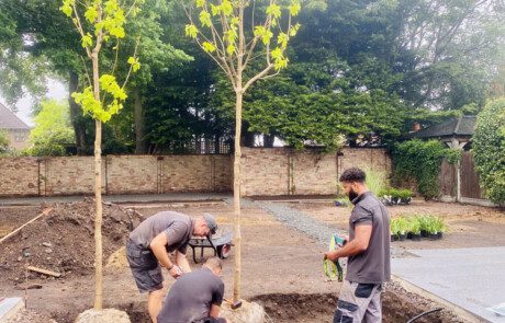 Expert gardening team planting trees for clients with in a large multi-level garden.