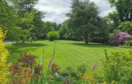 The-Essex-Garden-Co-garden-Maintenance-3 Garden maintenance of large lawn estate with surrounding flowerbeds.