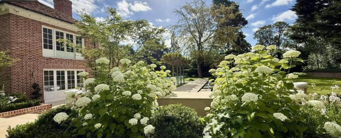 Blog title_ What to Expect from Professional Landscaping Services in Chelmsford. Beautiful landscaped garden on display. Garden design and landscaping by The Essex Garden Co.